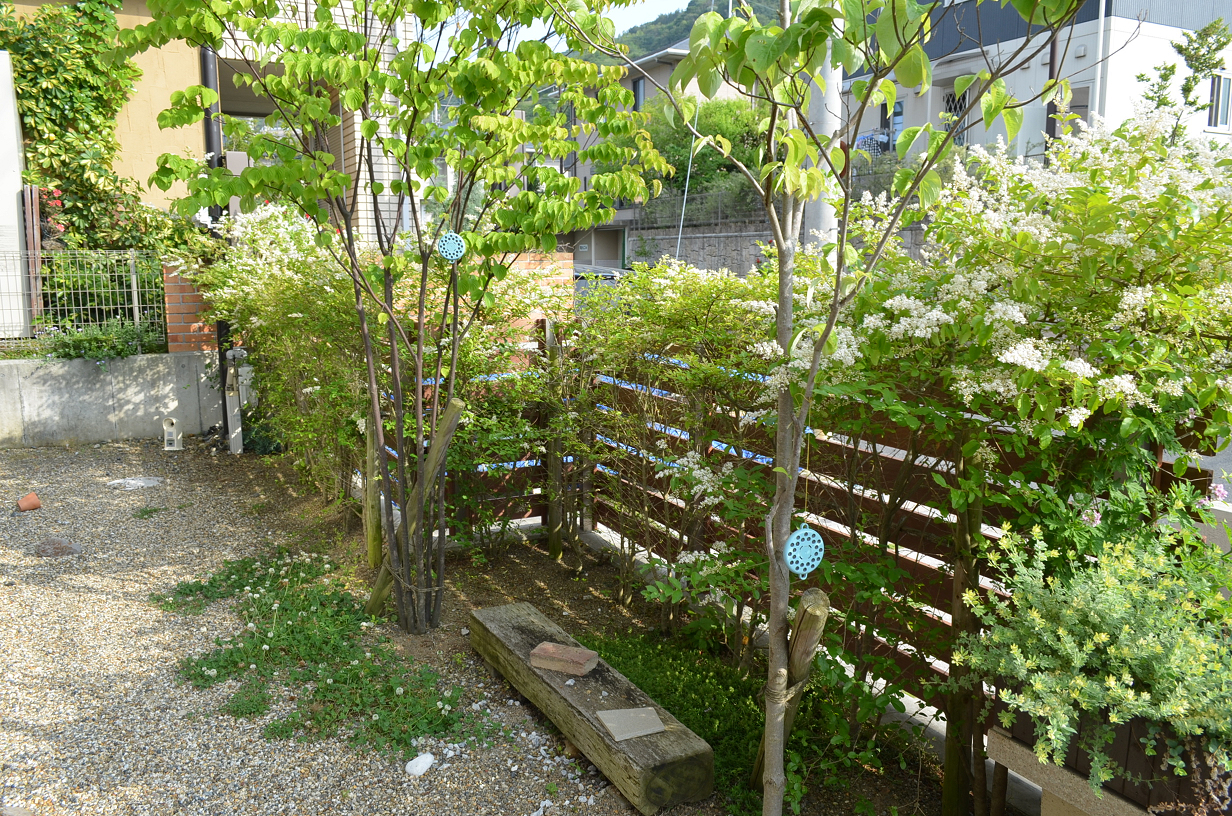 目隠し 植栽が映えるウッドフェンス 和歌山 泉州地域のエクステリア 外構工事 セレクシィ
